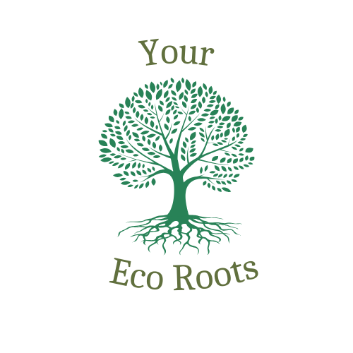 Your Eco Roots